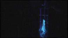 Fluoreszenz von Esculin Fluoreszenz von Esculin
